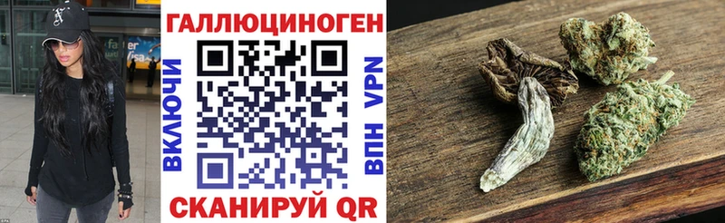 наркотики  Харабали  hydra как зайти  Псилоцибиновые грибы Psilocybine cubensis 
